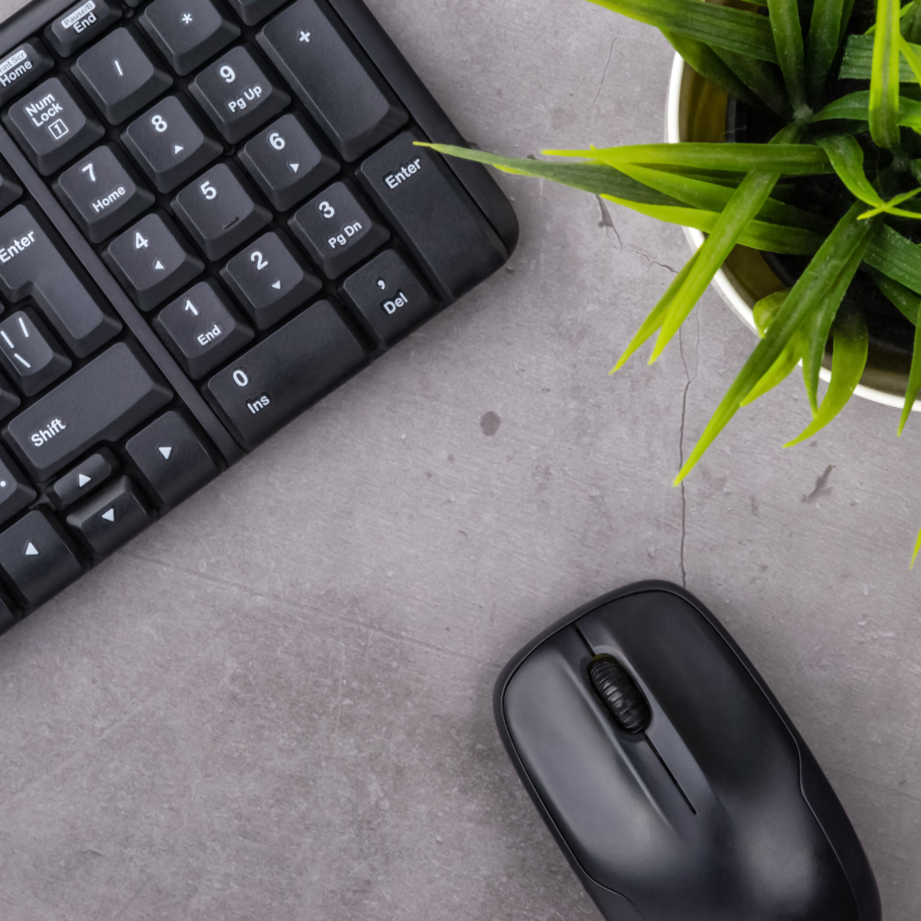 Computer Keyboard and mouse